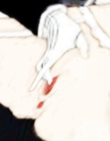 Sebastian michaelis sex Amira princess xxx Marriage