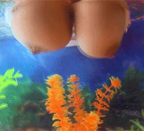 Told her to feed the fish...