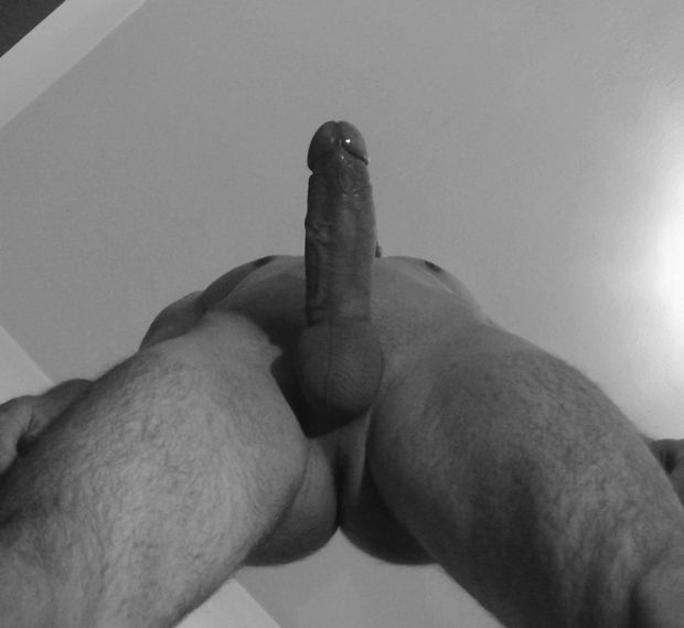 black and white cock