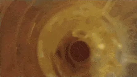 Fleshlight creampie
