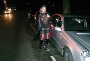 preview of the product