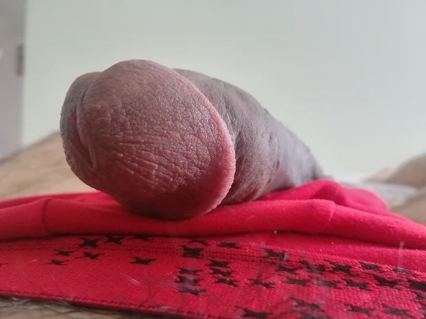 Sexi penis rima