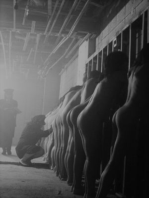 BEAUTY SLEPT IN SODOM