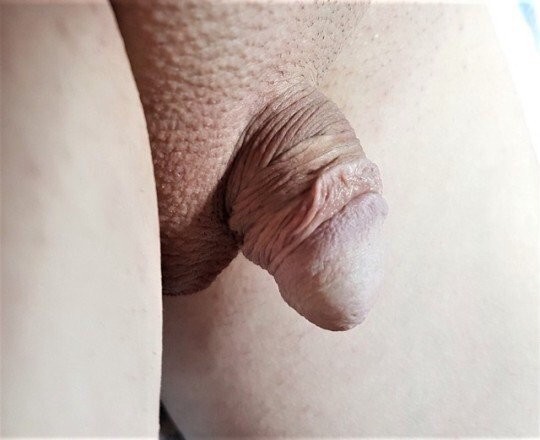tiny little white sissy clitty