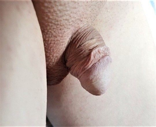 tiny little white sissy clitty
