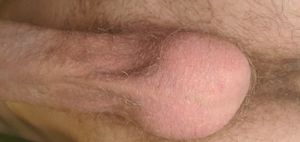 Someone suck and fondle my balls