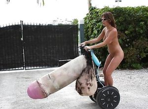 PenisBoard (KokotBoard)