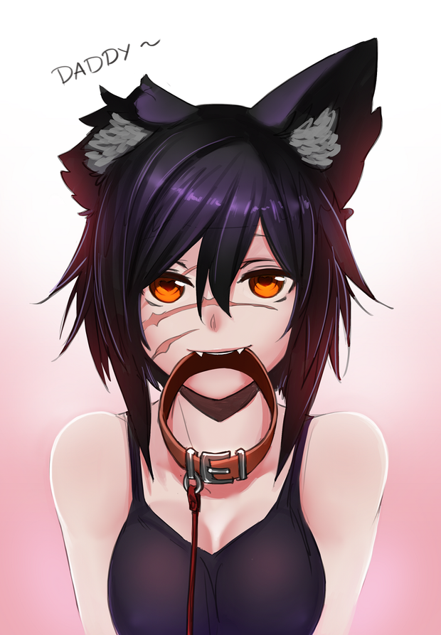 Beautiful fox