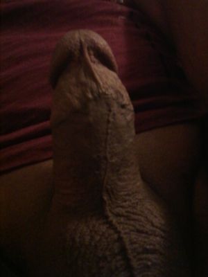 Rigguy Picture