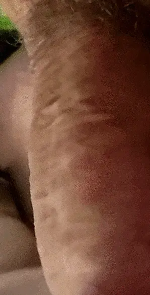 What can that be?