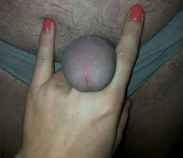 little cuck dick