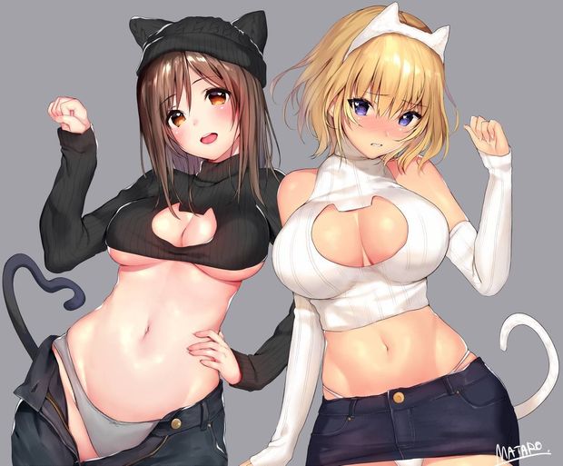 cat