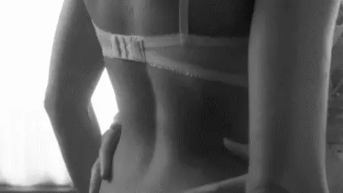 282-bra