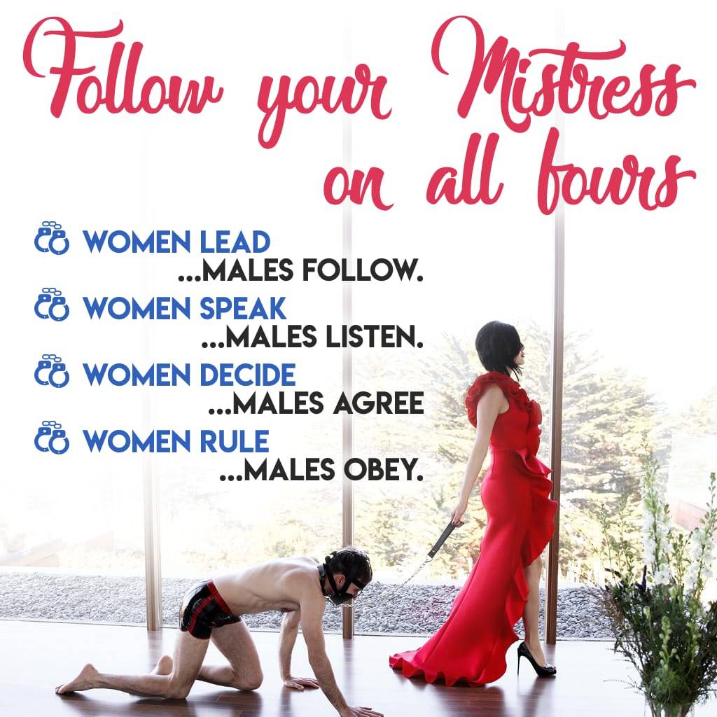 follow your mistress on all fours