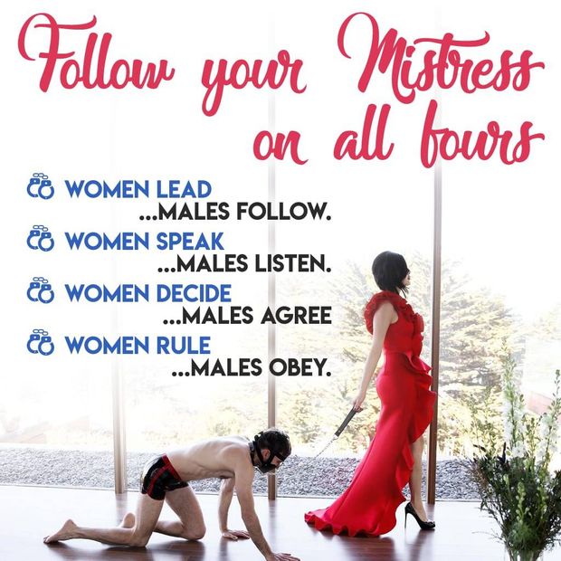 follow your mistress on all fours