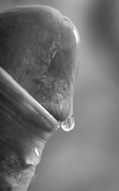 Drop of precum...