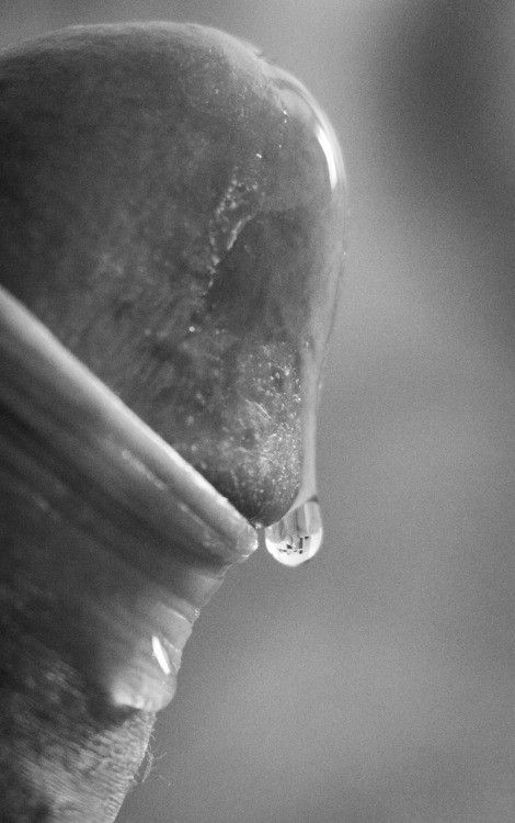 Drop of precum...