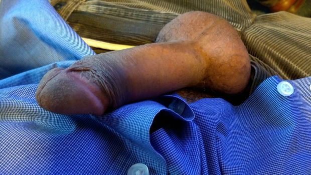 cock