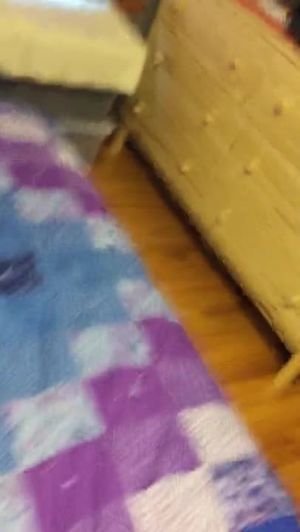 Pull her hair and cum in her pussy