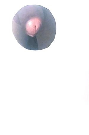 Here's a big cock for you to suck