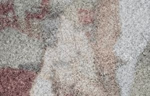 Brunette in lingerie records herself with bbc in mouth