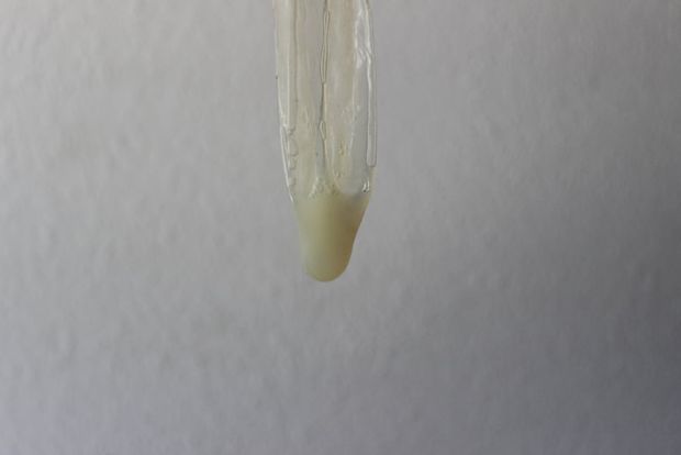Condom