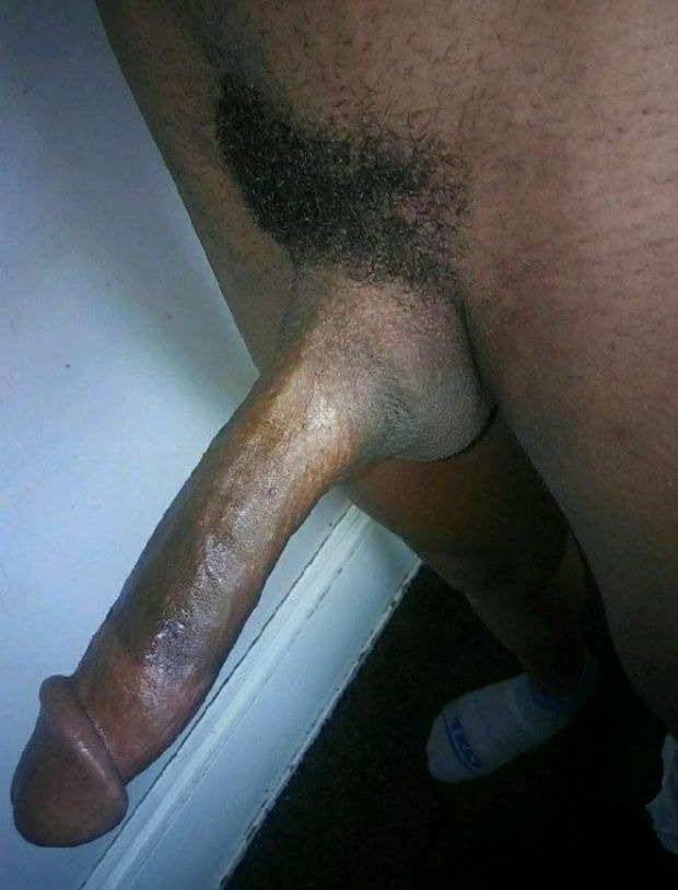 How big you think it is?