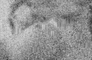 Big tittied brunette face fucked