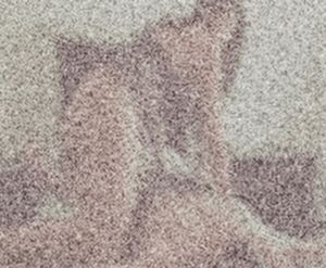 Thicc chick rides face 1