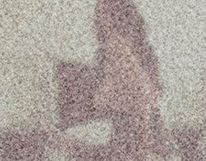 Thicc chick rides face 3