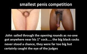 BBC comparison