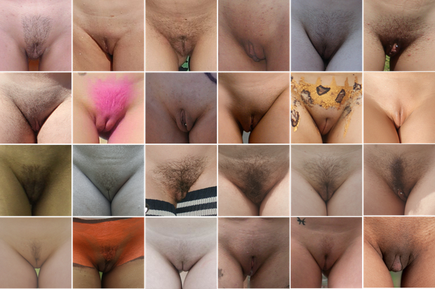 24 pussy