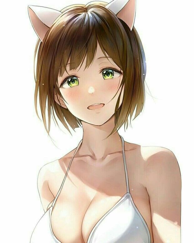 Anime cat