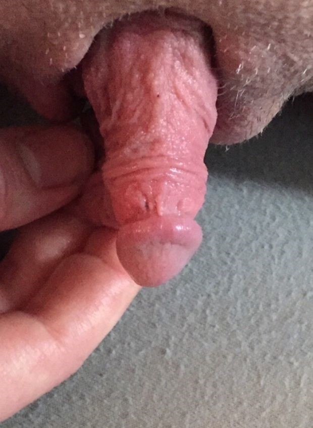 C34