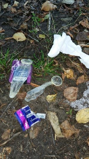 Walked today in the park. I saw how they threw it out of the car. She was fucked twice 4...