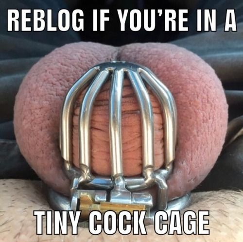 cuckold cum eat hot wife creampie lick