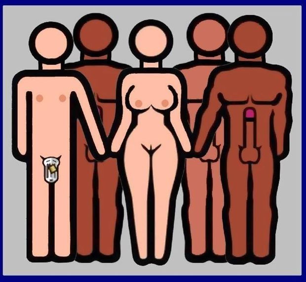 cuckold modern life