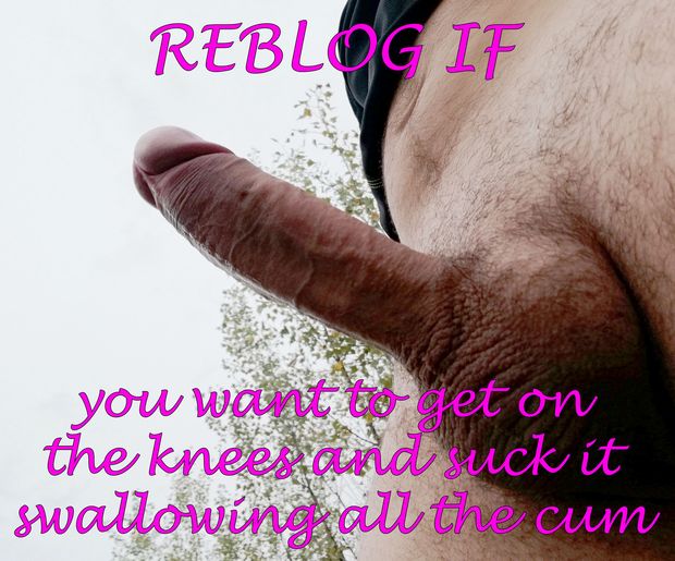 Repin if you want to get on the knees and suck it swallowing all the cum at the end.
