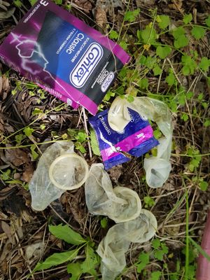 Looks like someone had a lot of fun 2