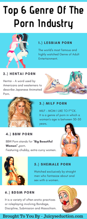 There are different porn genres that are favorite among most of the internet users and porn lovers. The infographic will depict top 6 porn g