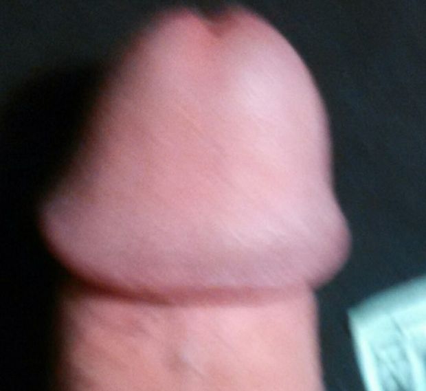 Fat Perfect Cock Head
