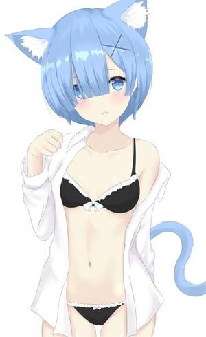 Rem sexy Neko (Re：ゼロから始める異世界生活)