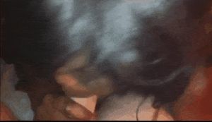 sexy amateur ebony blowjob