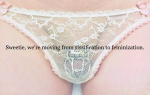 sissification to feminization
