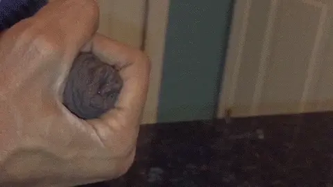 Penis uncut