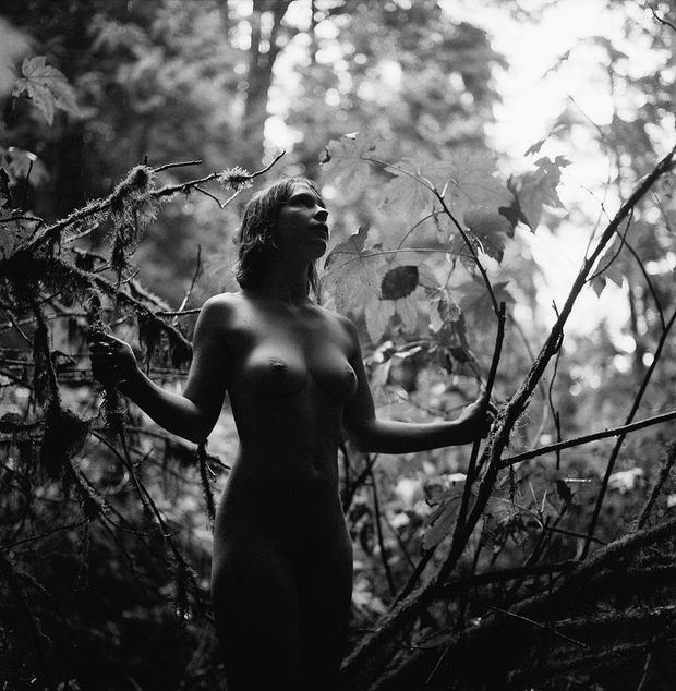 wood nymph
