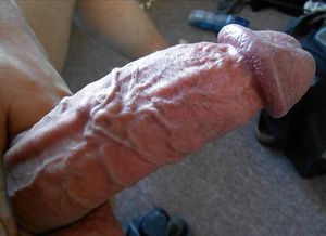 Veiny cock
