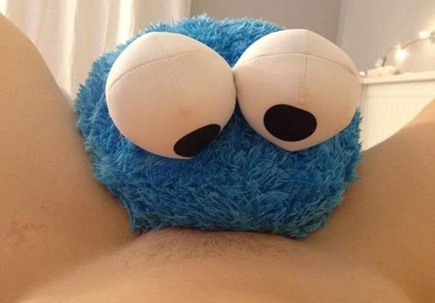 Cookie monster found better than cookies
