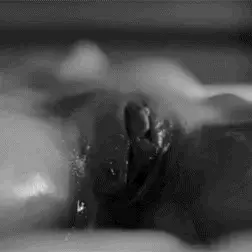Rub my pussy