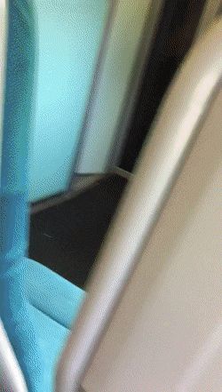 Tits out on the train